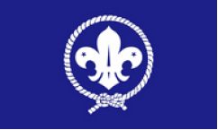 Scouts Blue Flags